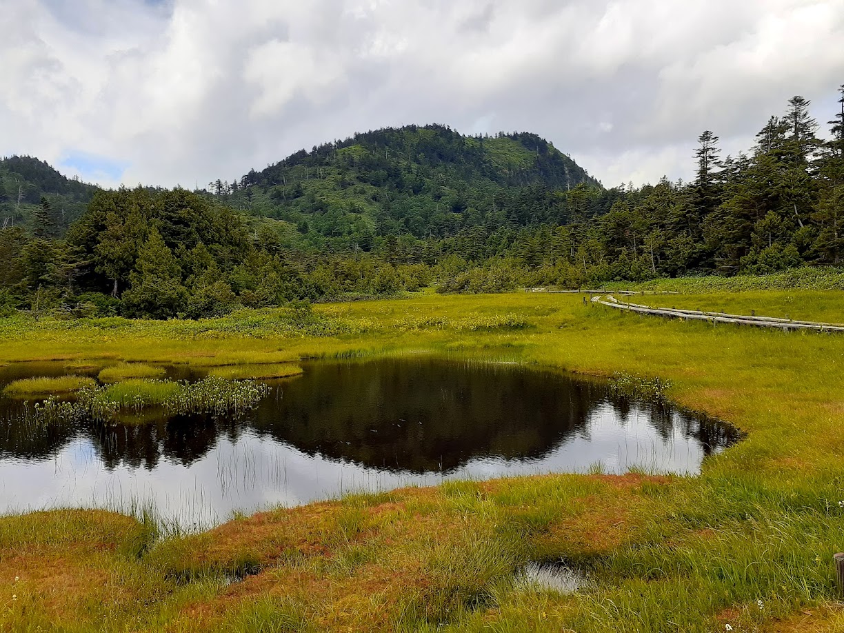 嬬恋村鹿沢 村上山