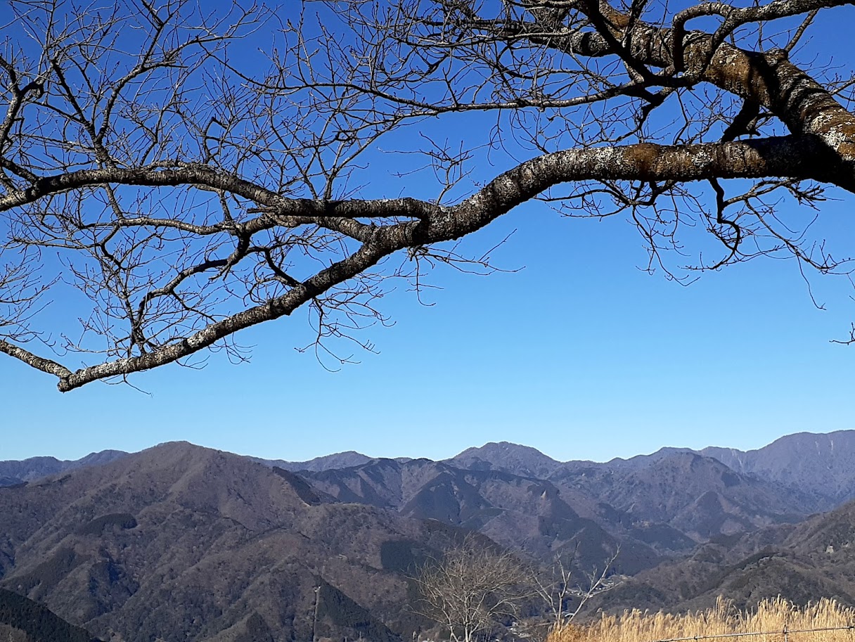 嬬恋村鹿沢 村上山