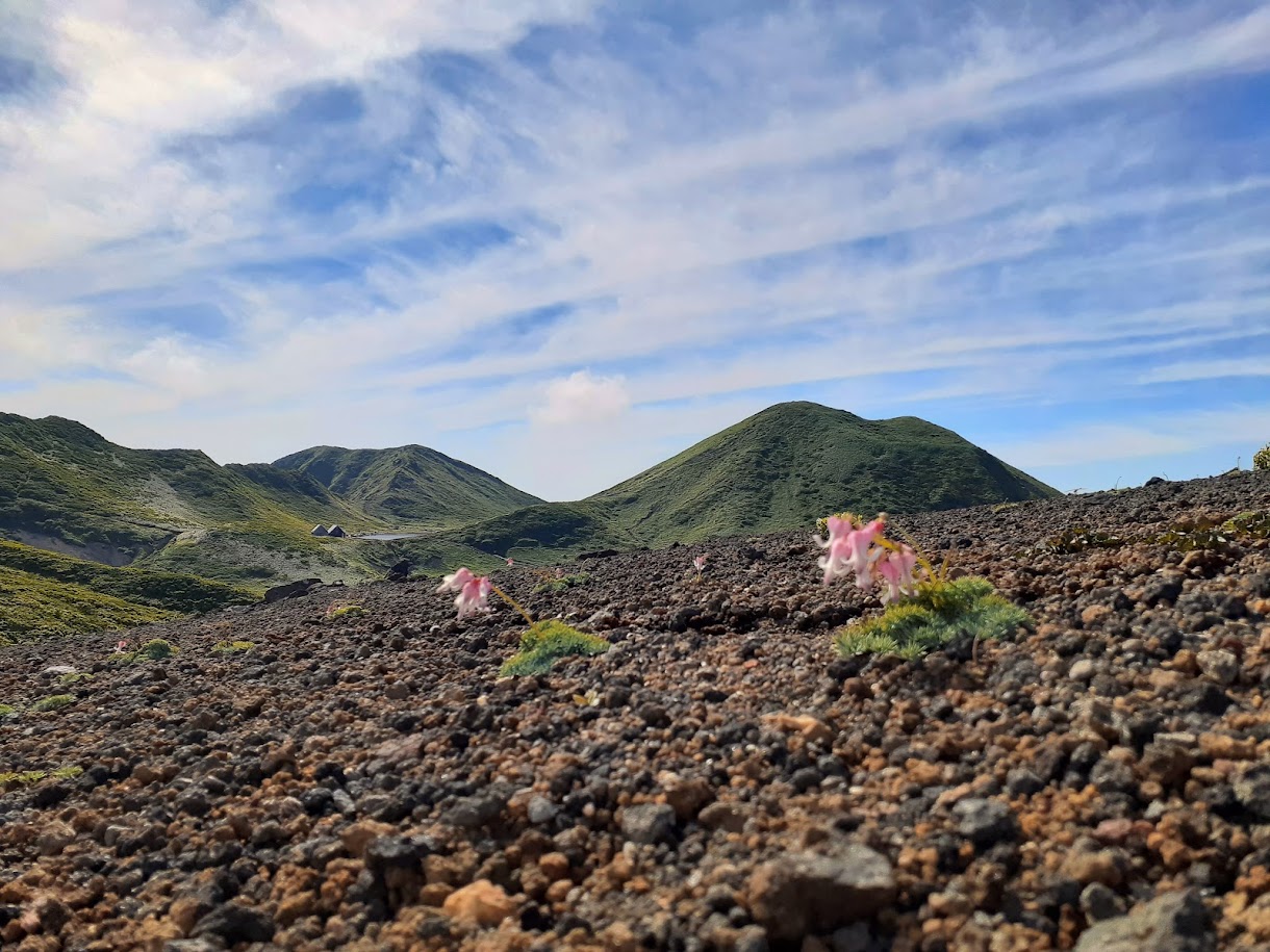 秋田駒ケ岳