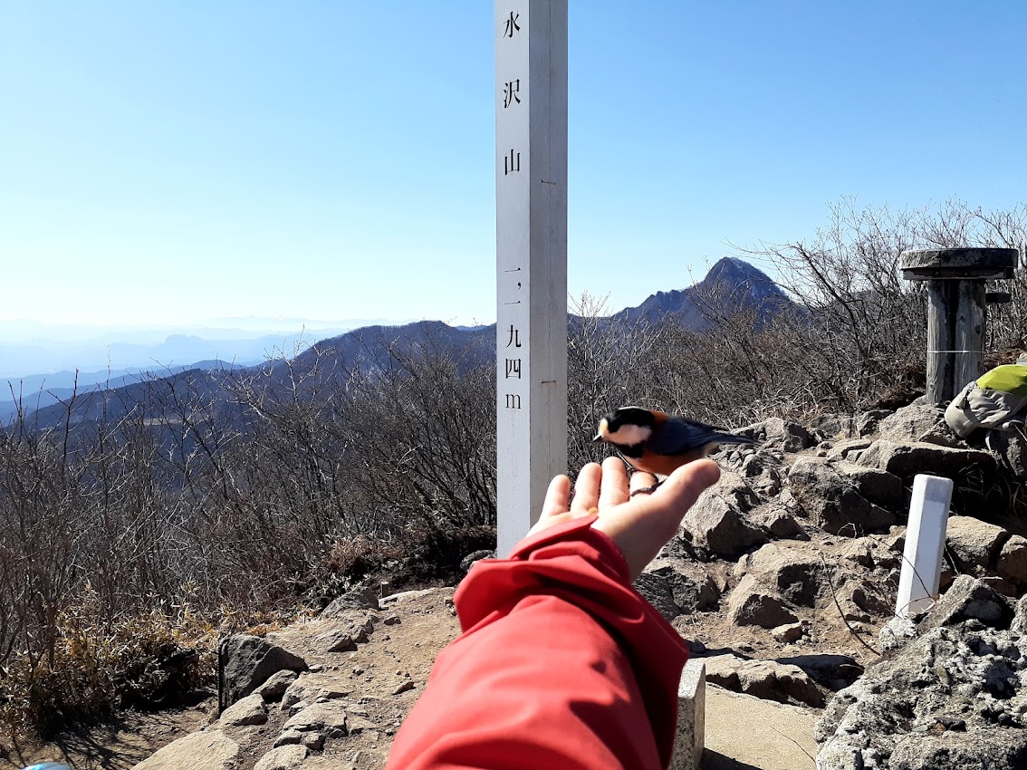 水沢山