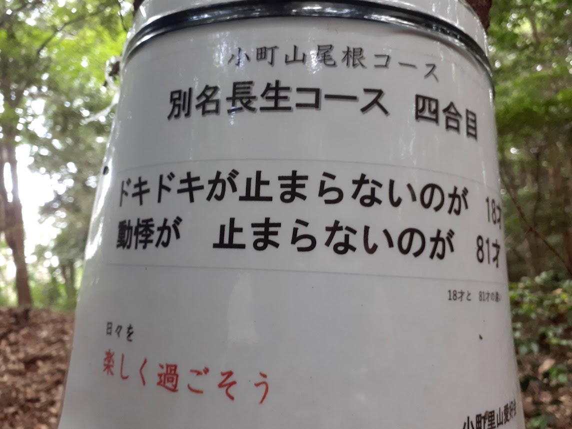 こまちやま